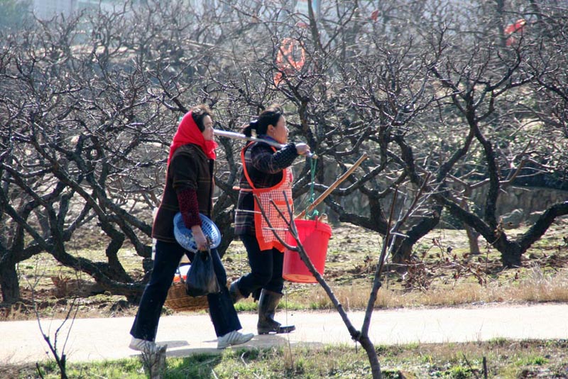 <font color=#08E734>[ԭ]һ俪</color>