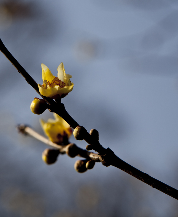 IMG_1014Ϊܶ-1.jpg