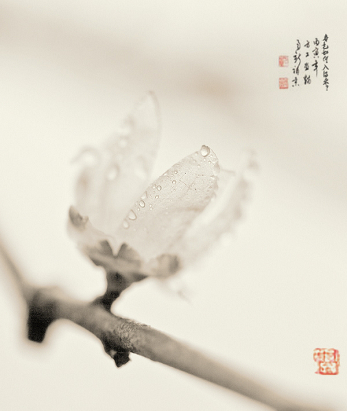 1001241043da6ee4b972d6d282  .jpg