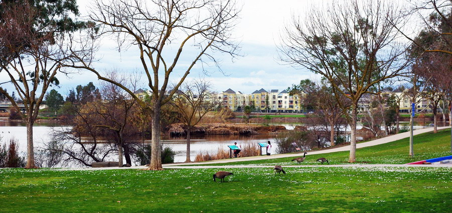 IMGP3722x.jpg