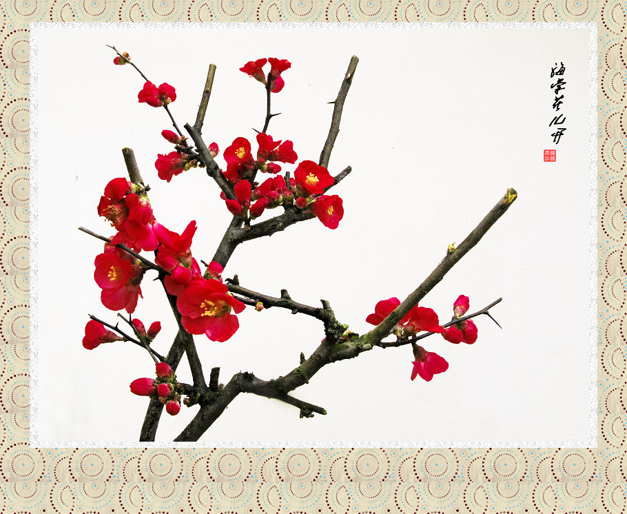 IMG_9068 as Smart Object-2.jpg