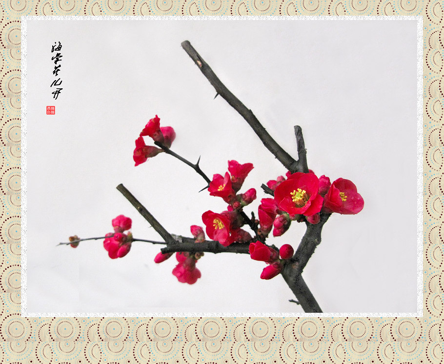 IMG_9076 as Smart Object-2.jpg