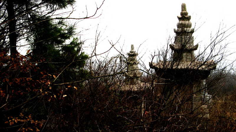 2010_0235.jpg