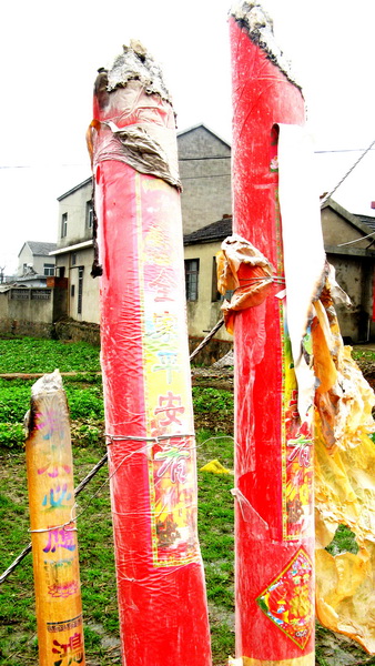2010_0260.jpg
