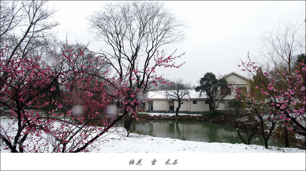 IMGP4508.jpg
