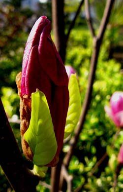 IMG_0138.JPG