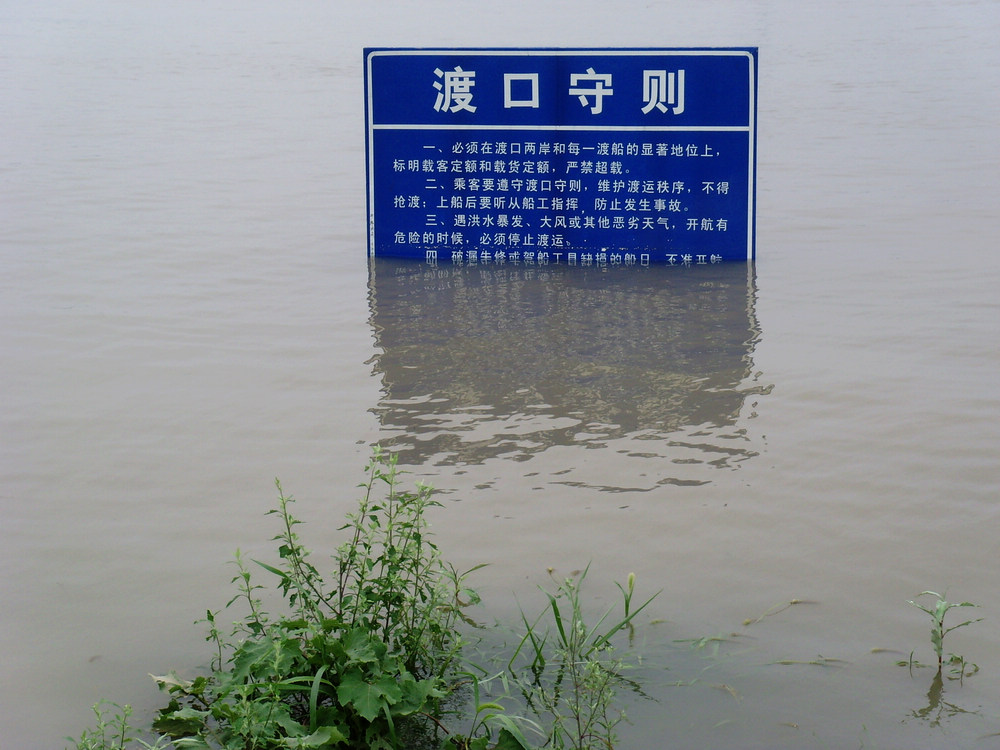 06.jpg