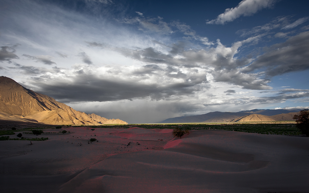 _MG_4099-0-ys-³ز.jpg