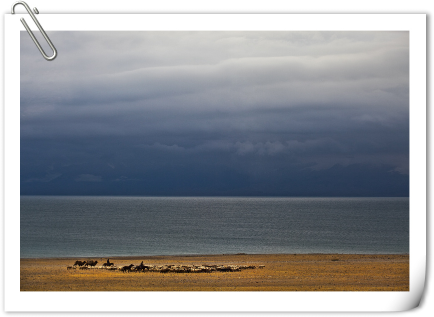 IMG_1311-2.jpg
