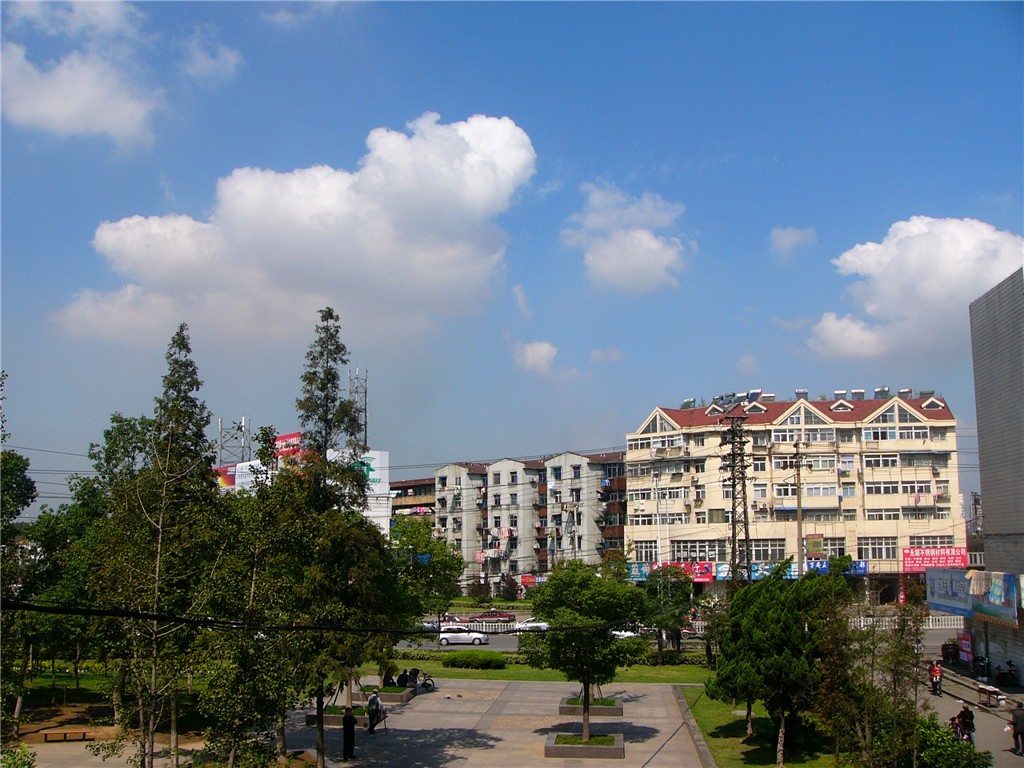 P1230430_.jpg