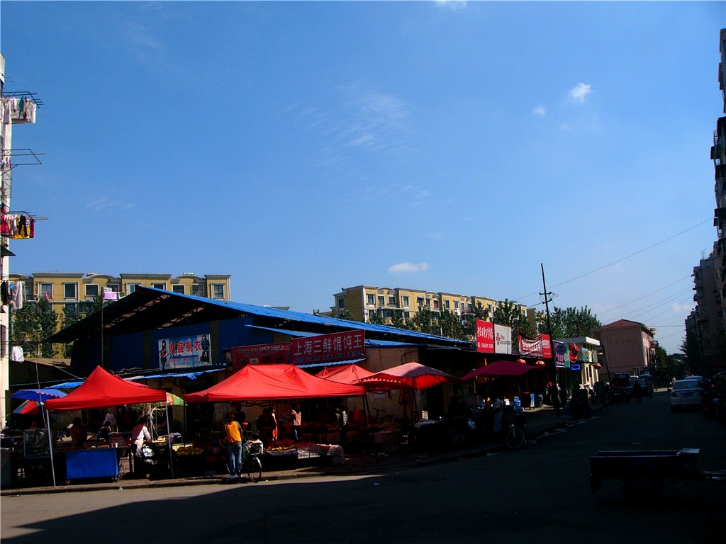 P1230437_.jpg