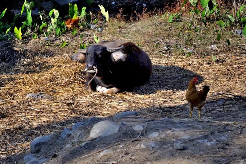 DSC_0024_1553.1.jpg
