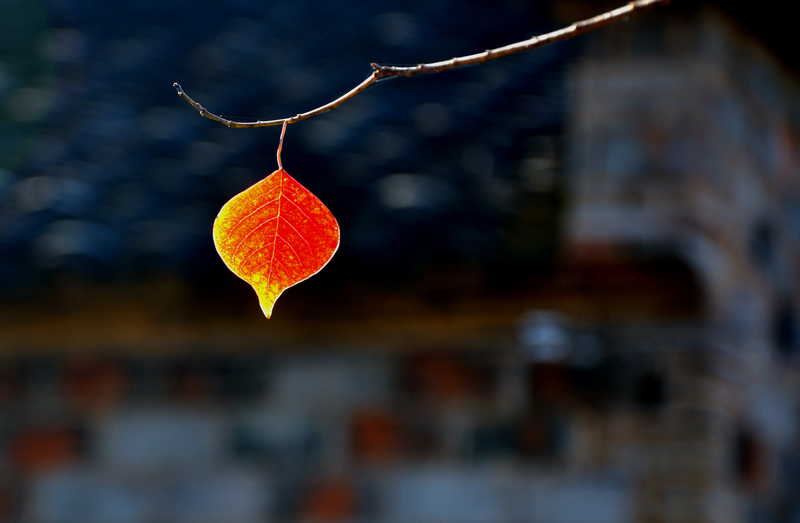 DSC_0026_1555.1.jpg