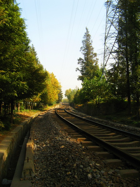 IMG_1395_web.jpg