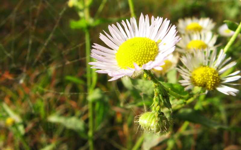 IMG_1359_web.jpg