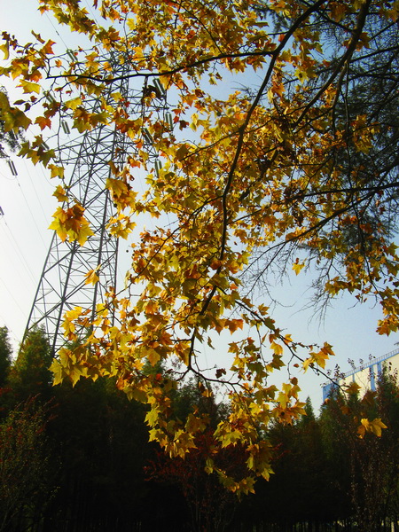 IMG_1391_web.jpg