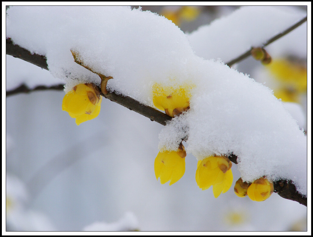 nEO_IMG_ʫѩ 234.jpg