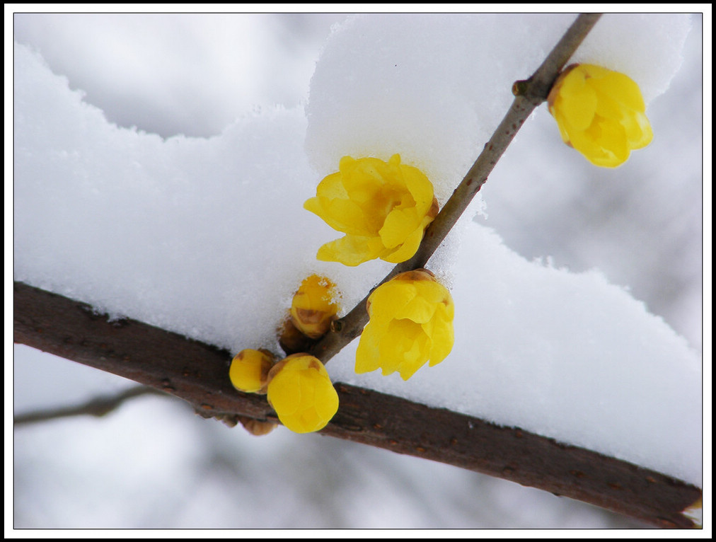 nEO_IMG_ʫѩ 235.jpg