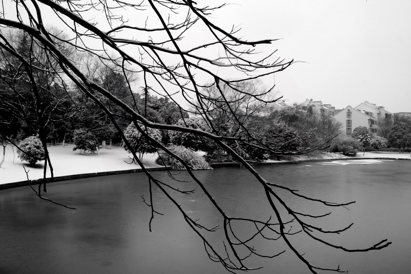 Ƭ 319-1.jpg