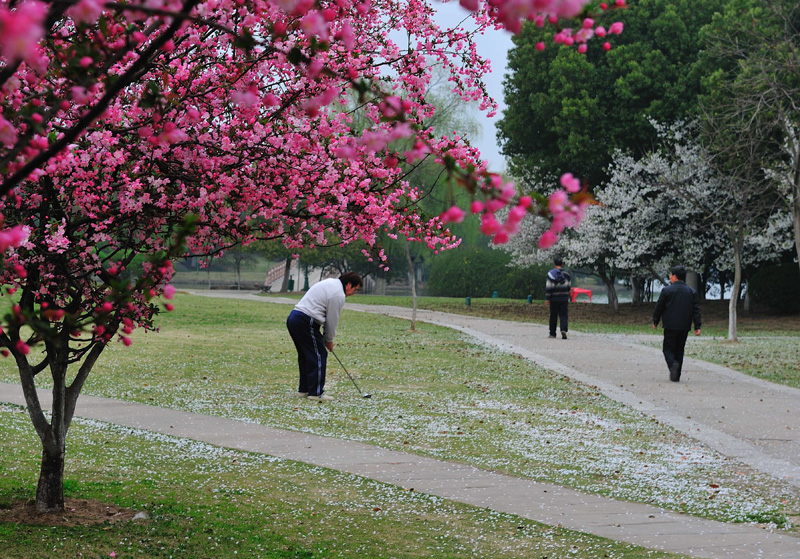 LCL_5691.jpg