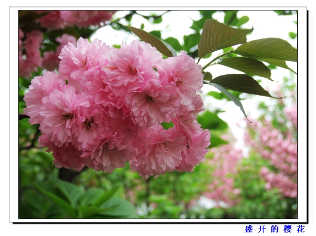 DSCF2173.jpg