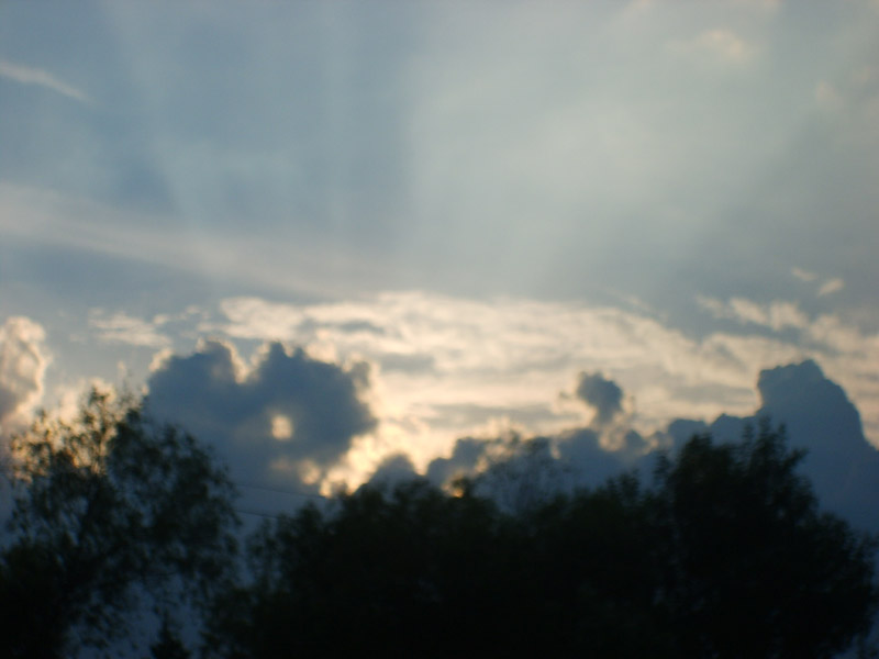 S5001541.JPG