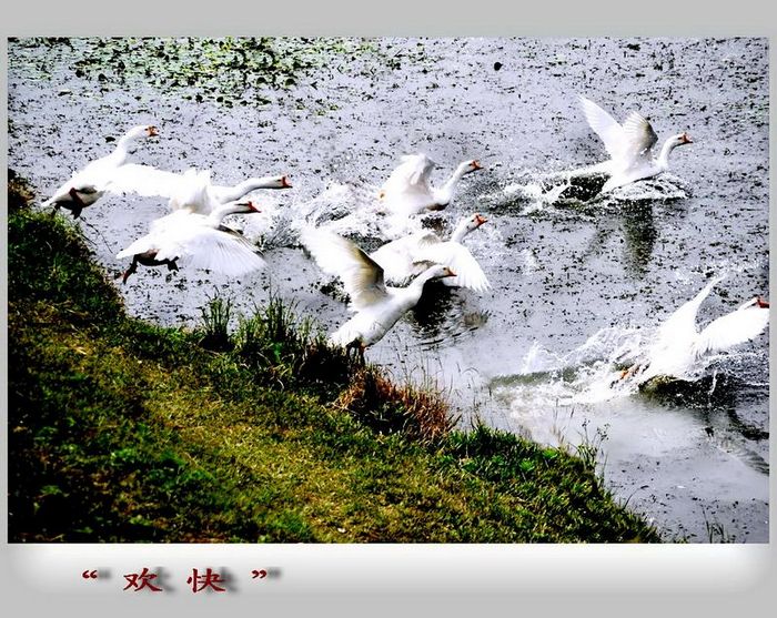 3.19׶졿 033_okk.jpg