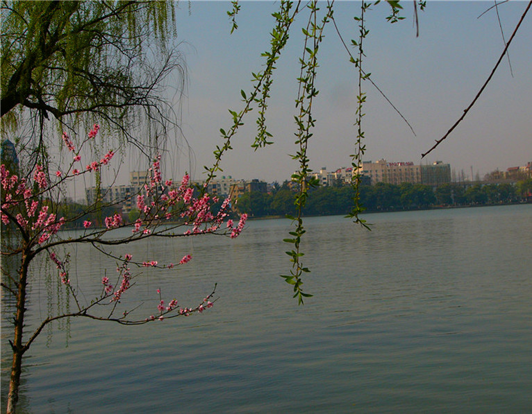p1270341_.jpg