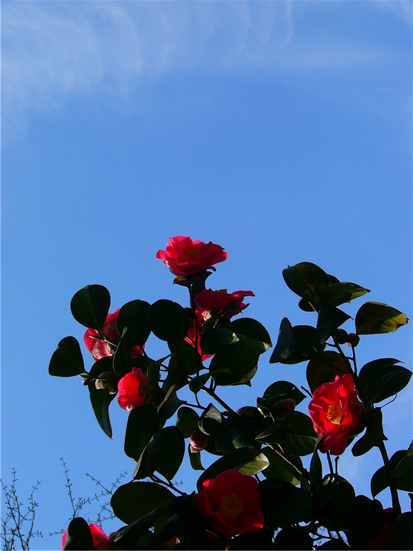p1270393__ת.jpg