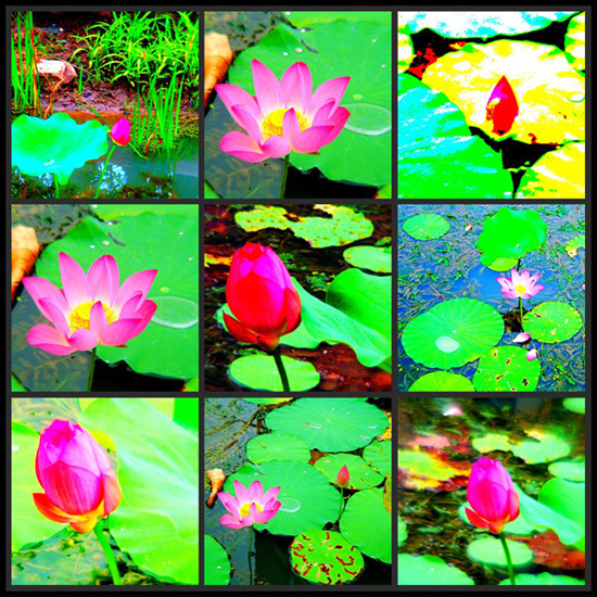 DSCF0067_conew3.jpg