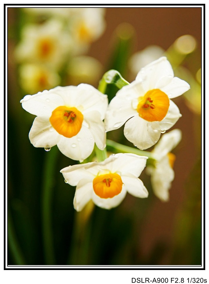 ˮ (1)_conew2.JPG