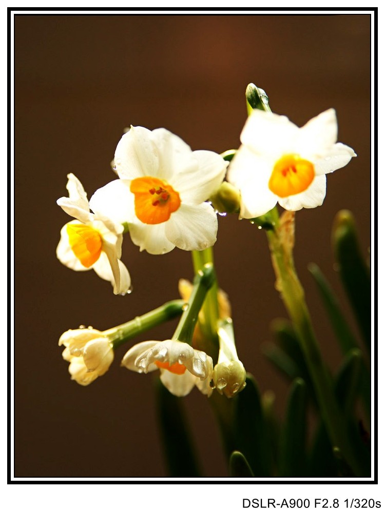 ˮ (2)_conew2.JPG