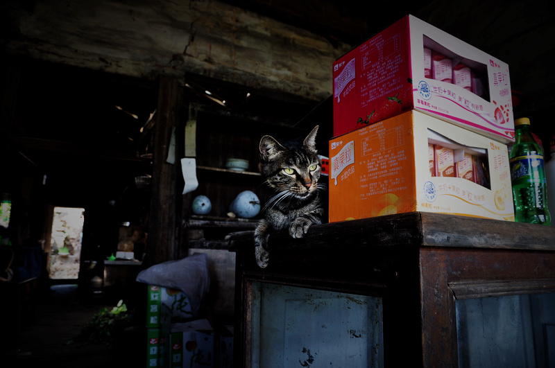 DSC_5586.jpg
