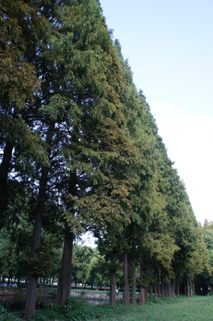 DSC01798.JPG
