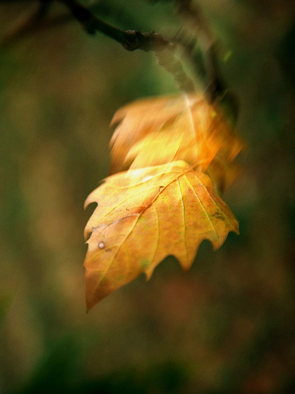 ҶڿճһĻߣΪġܽᡣ