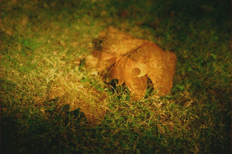 һ֧ɫĺأڴػУûź˸УΪǳʵԼ¡