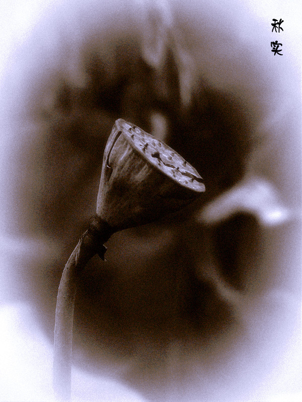 P1330910___.jpg