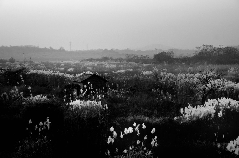 DSC_0142_052.jpg