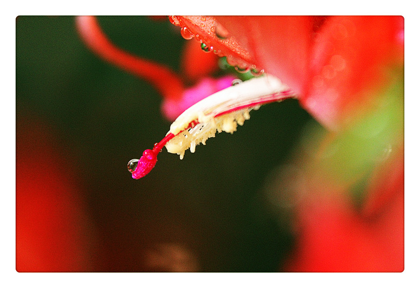 Ƭ 016_.jpg