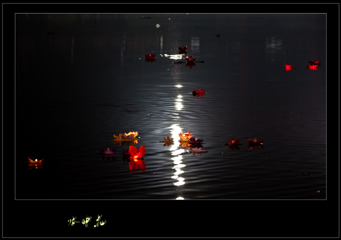IMG_3638.jpg