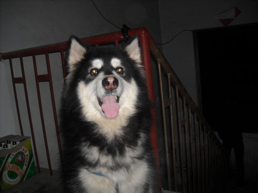 DSCN1226.JPG