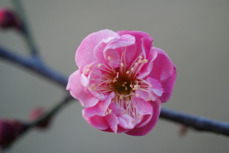 DSC04446.JPG