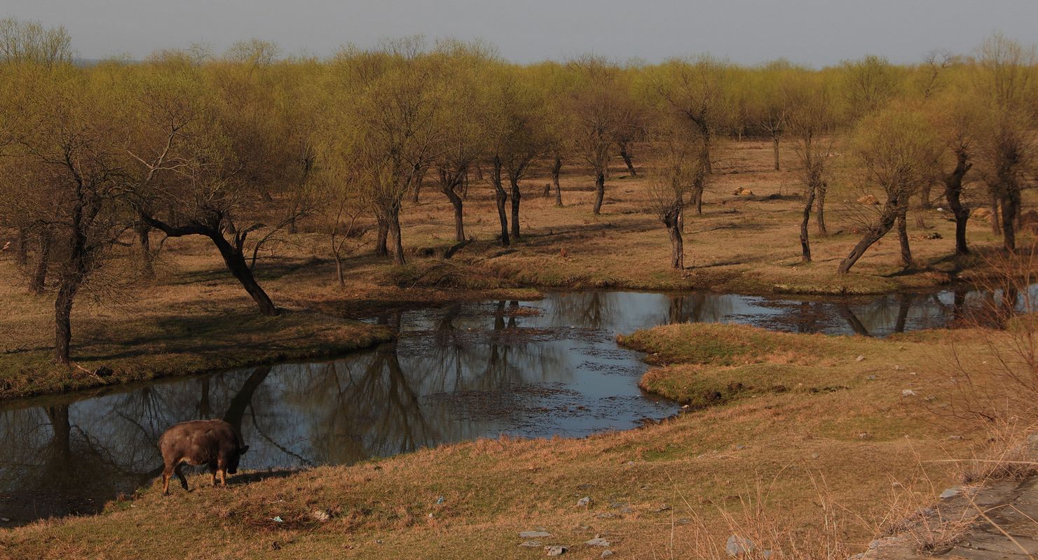 2012.3.24ʪ 336-2.jpg