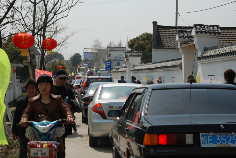 DSC_7905_conew1.JPG