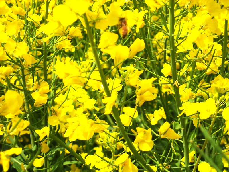 DSCN2201.JPG