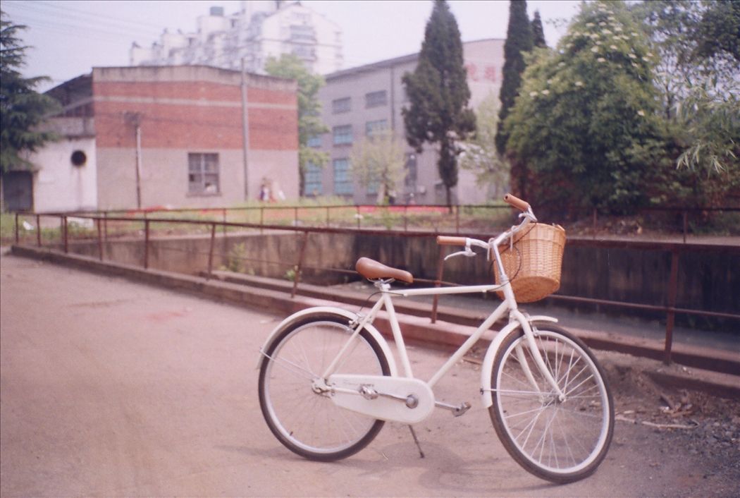 r001-019.jpg