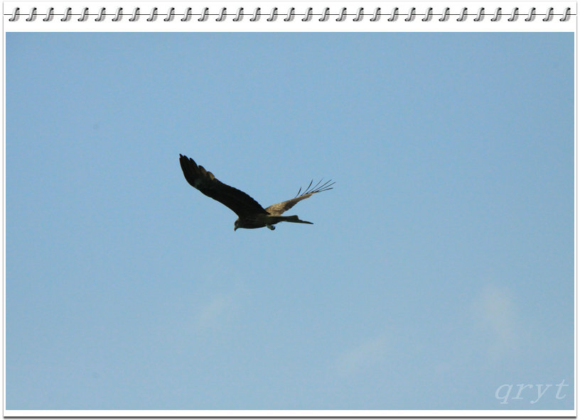 IMG_5999_.JPG