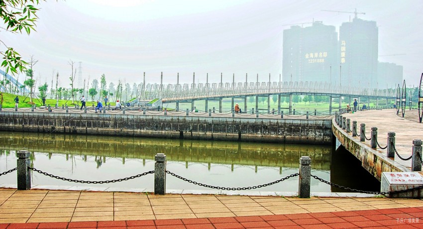 DSC_2759_conew4.JPG