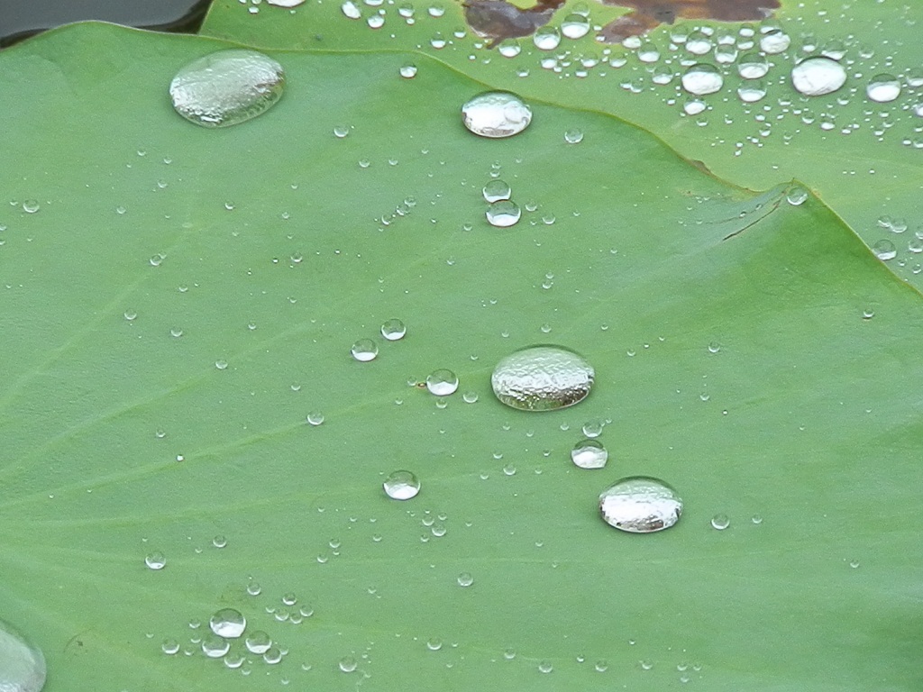 P8090048.JPG