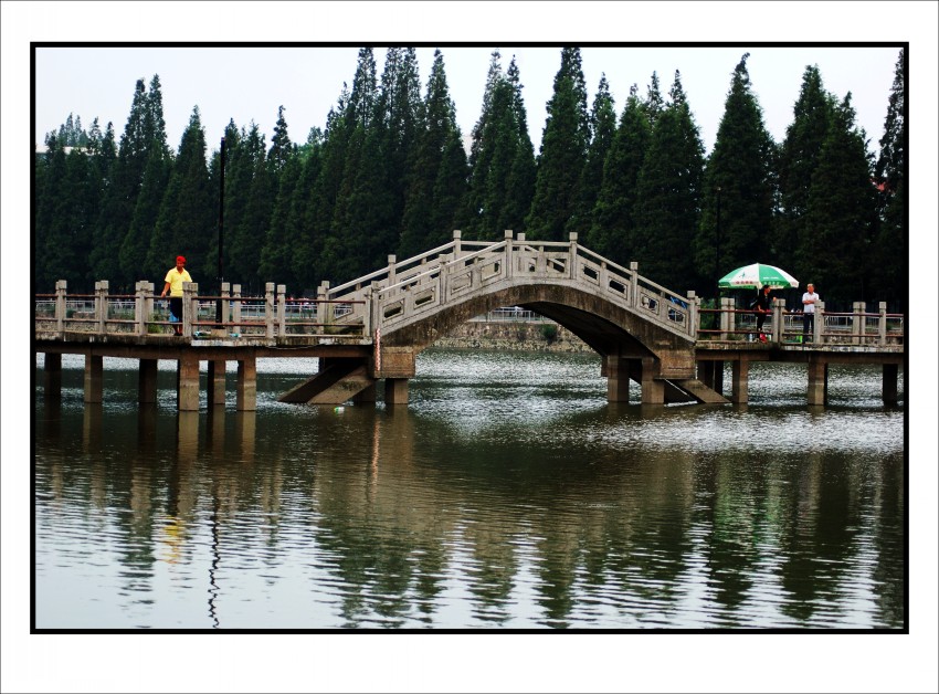 DSC_5166_003_conew1.JPG
